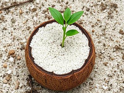 Кокосовий субстрат, що це і як застосовується Кокосовий субстрат, що це і як застосовується