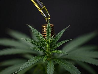 Масло ТГК Масло ТГК